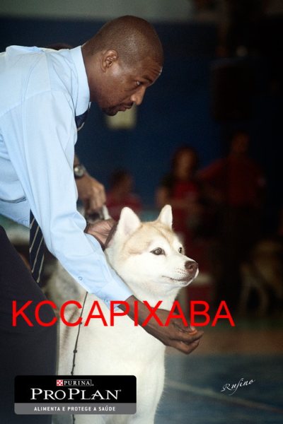 Clique sobre a foto para fechar